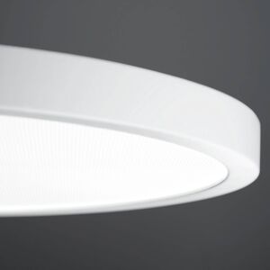 Waldmann LED závěsné VIVAA 2.0 Ø60cm kabel bílý 4 000K