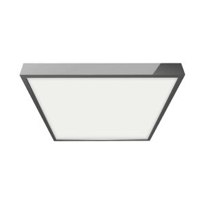 Emithor Emithor  - LED Koupelnové stropní svítidlo LENYS 1xLED/12W/230V IP44