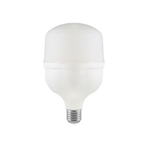 LED Žárovka T100 E27/30W/230V 6500K